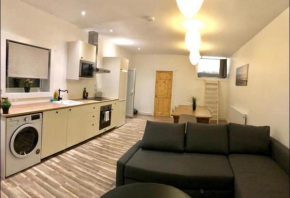 Just Renovated Galway City Apartment, Galway